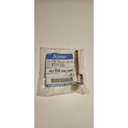 R01E06208